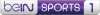 BEIN SPORTS 1